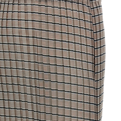 Issey Miyake Generic Stripes (machine Pleats) Skirt