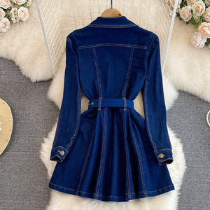 Sylvie Denim Dress