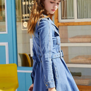 Sylvie Denim Dress