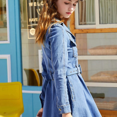 Sylvie Denim Dress