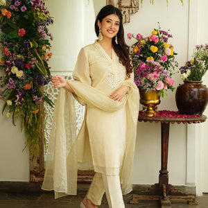 Nimisha elegant Cosmos set