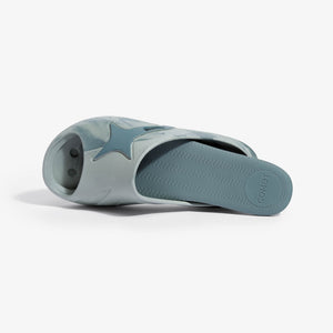 Slides GECKO