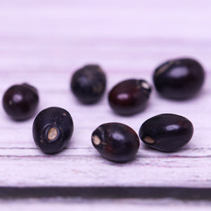 Studio Vaidik Kali  Gunja (7 pieces)