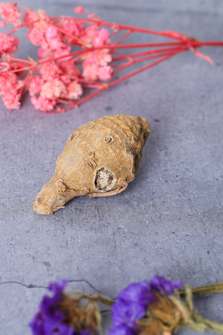 Studio Vaidik Kali Haldi / Turmeric for Puja Samagri