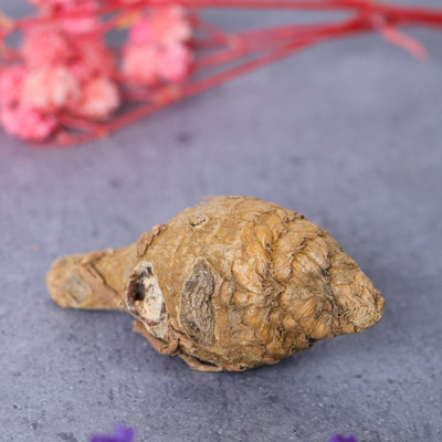 Studio Vaidik Kali Haldi / Turmeric for Puja Samagri