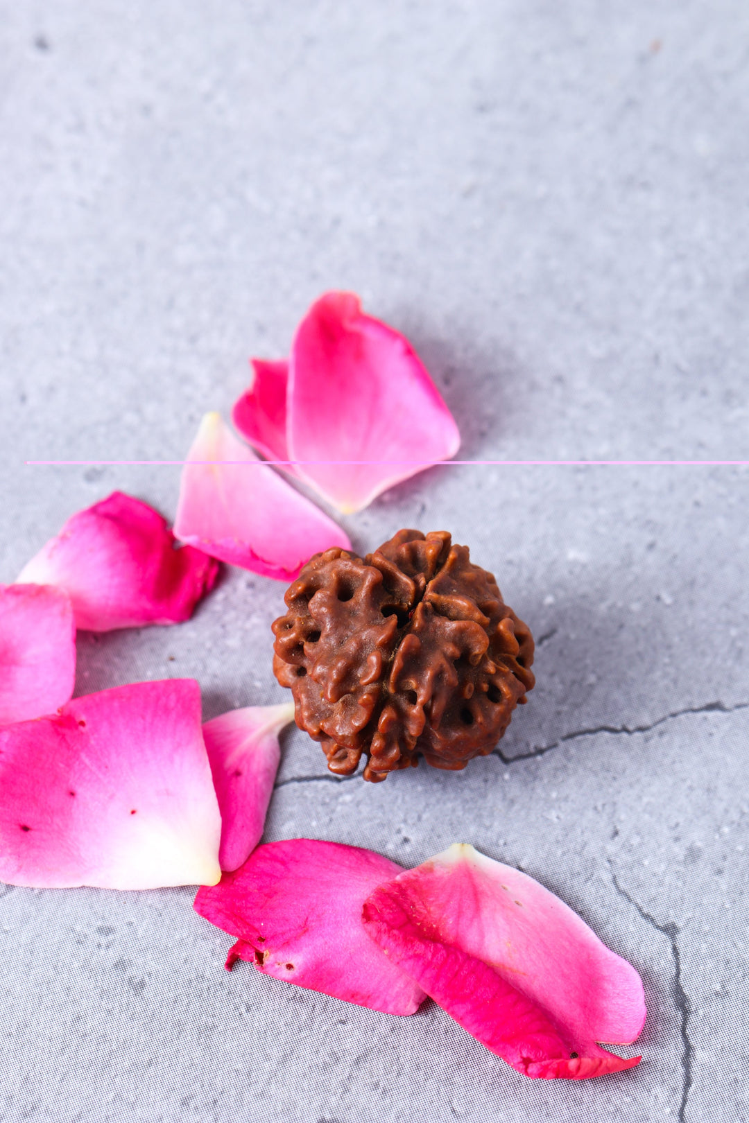 Studio Vaidik 4 mukhi Natural Rudraksha