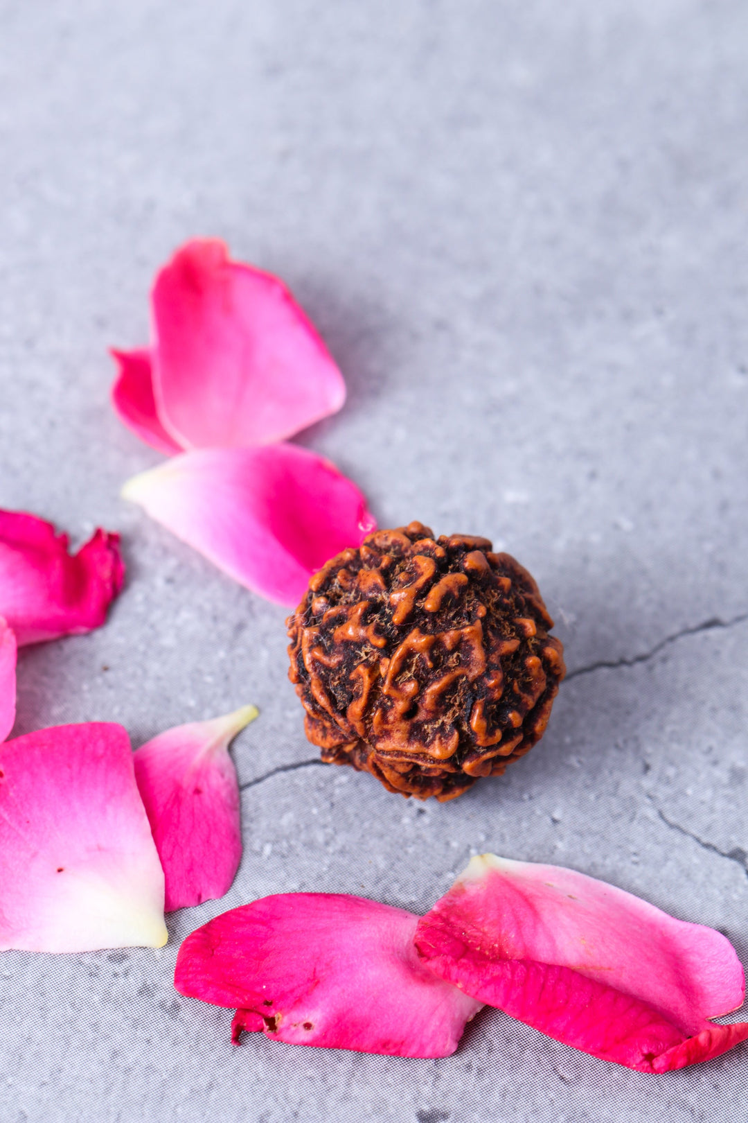 Studio Vaidik 5 mukhi Natural Rudraksha