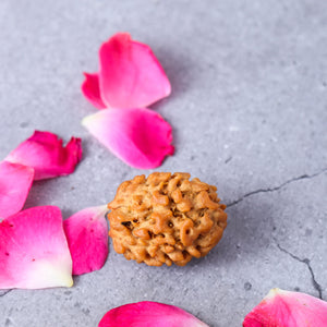 Studio Vaidik 3 mukhi Natural Rudraksha