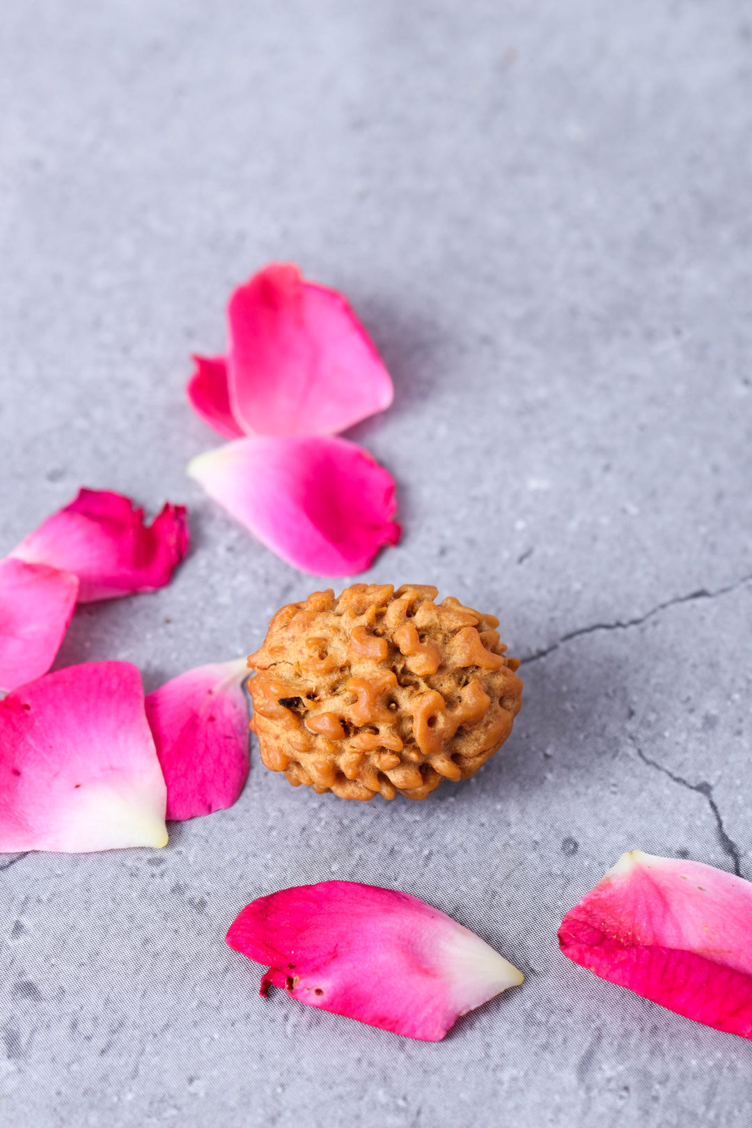 Studio Vaidik 3 mukhi Natural Rudraksha