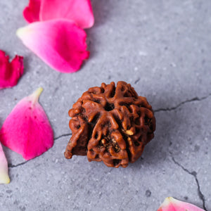 Studio Vaidik Natural Ganesh Rudraksha