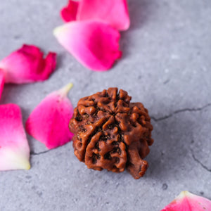 Studio Vaidik Natural Ganesh Rudraksha