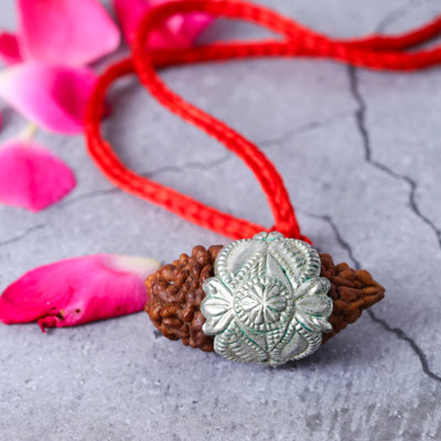 Studio Vaidik 1 mukhi Natural Rudraksha with silver cap