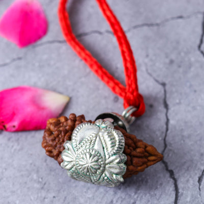 Studio Vaidik 1 mukhi Natural Rudraksha with silver cap