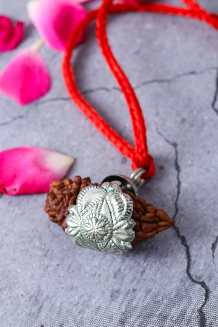 Studio Vaidik 1 mukhi Natural Rudraksha with silver cap