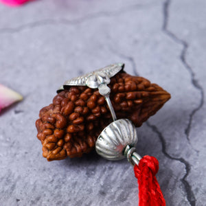 Studio Vaidik 1 mukhi Natural Rudraksha with silver cap