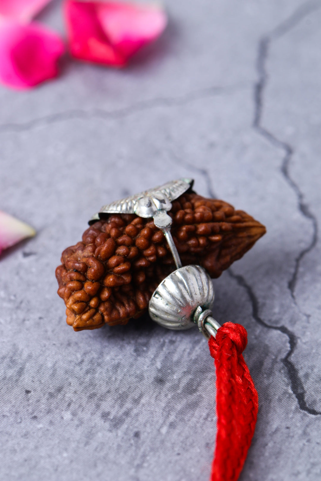 Studio Vaidik 1 mukhi Natural Rudraksha with silver cap