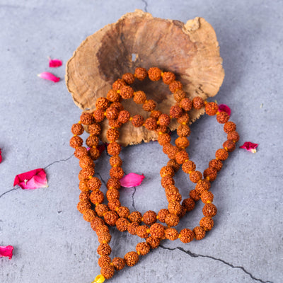 Chaitanya 5 mukhi Rudraksha Mala- 6 mm Beads