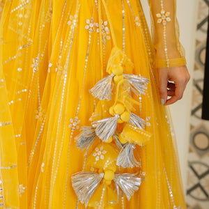 Aisha yellow net lehenga choli set
