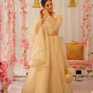 Serene snowfall organza lehenga set