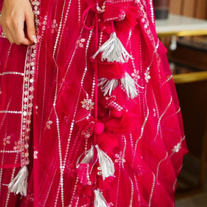 parisha pink net lehenga choli set