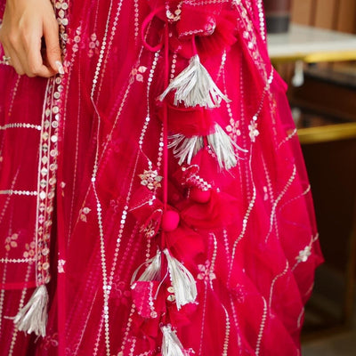 parisha pink net lehenga choli set