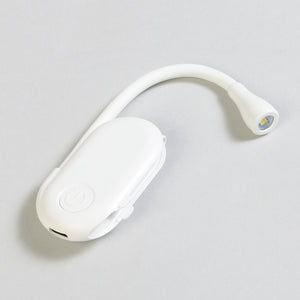 Mini Clip Light