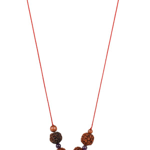 Studio Vaidik SarvaKarya Siddhi Kit