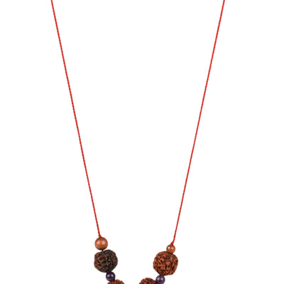 Studio Vaidik SarvaKarya Siddhi Kit