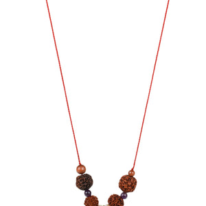 Studio Vaidik SarvaKarya Siddhi Kit