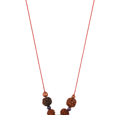 Studio Vaidik SarvaKarya Siddhi Kit