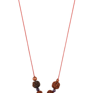 Studio Vaidik Sampoorna Dhan Lakshmi Kit for Diwali Puja