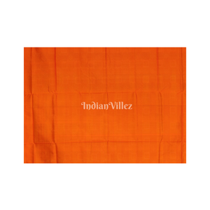 Iron Grey With Fish Motif Border Pure Sambalpuri Silk Saree