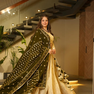 zahreen ethnic cosmos lehenga set