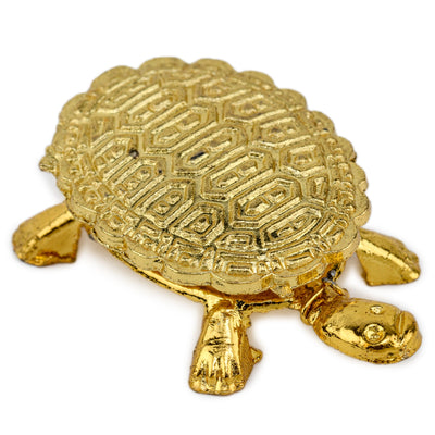 Studio Vaidik Icchapurti kachua