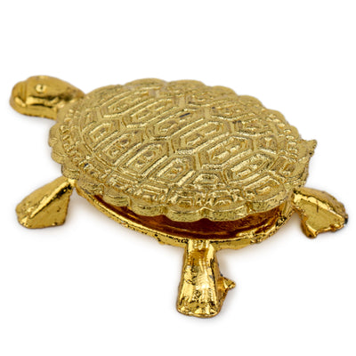 Studio Vaidik Icchapurti Kachua