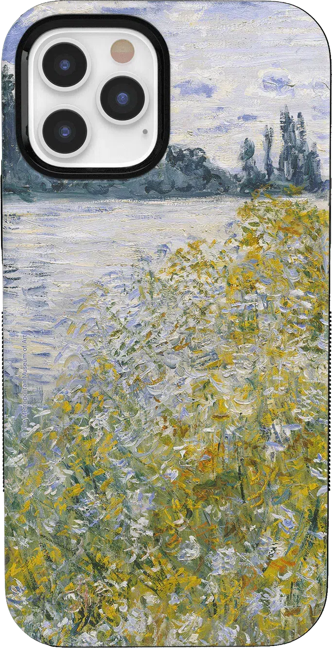 Monet’s Summer Landscape | The Met Series Case