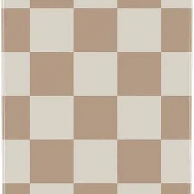 Fit Check | Neutral Checkerboard Case