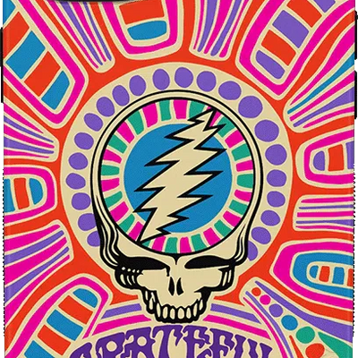 Art of Chaos | Grateful Dead Skull Case