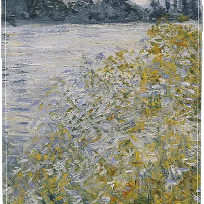 Monet’s Summer Landscape | The Met Series Case