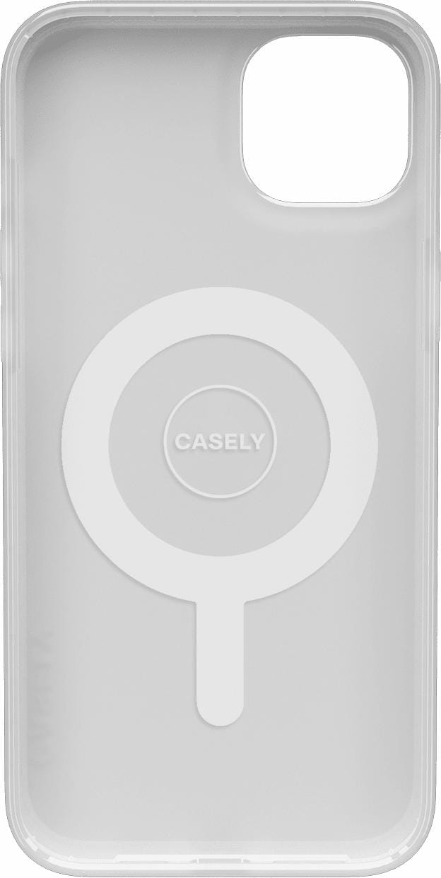 Vincent’s Flowers | Van Gogh Museum Case