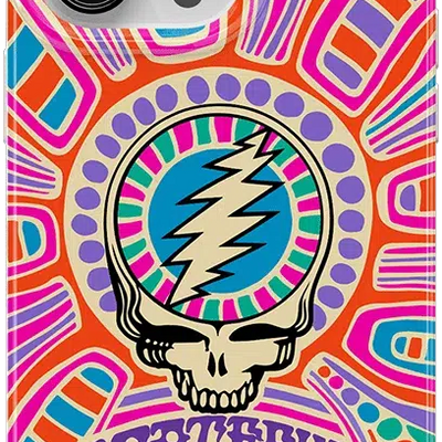 Art of Chaos | Grateful Dead Skull Case