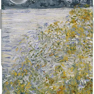 Monet’s Summer Landscape | The Met Series Case