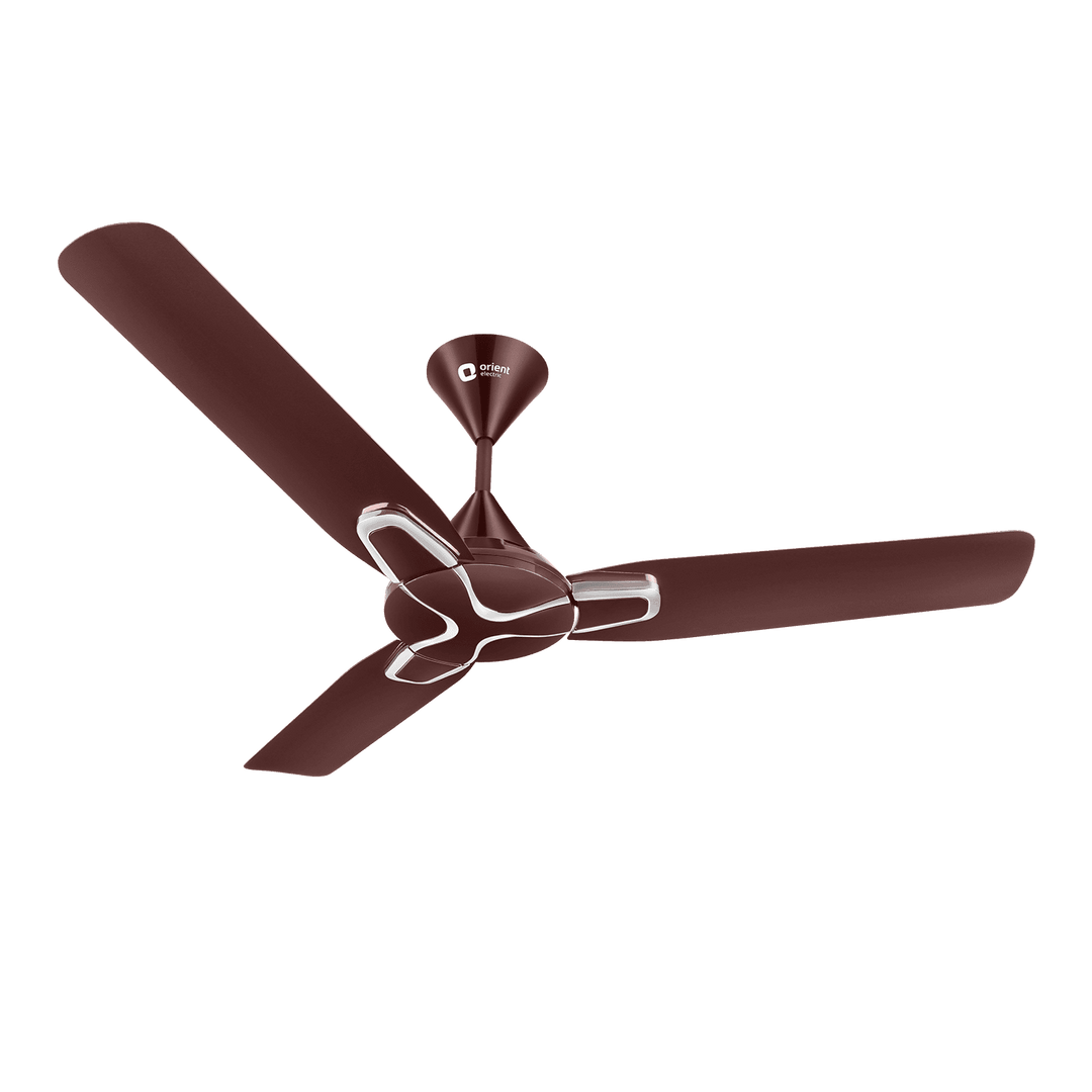 Jazz Decorative Ceiling Fan