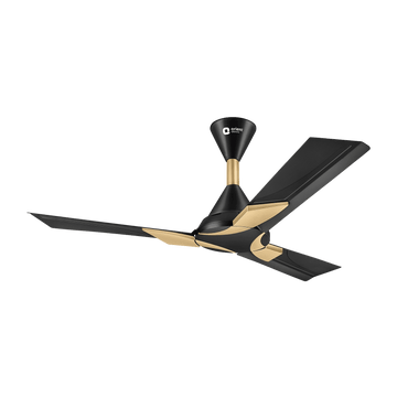 Metallic Black Gold
