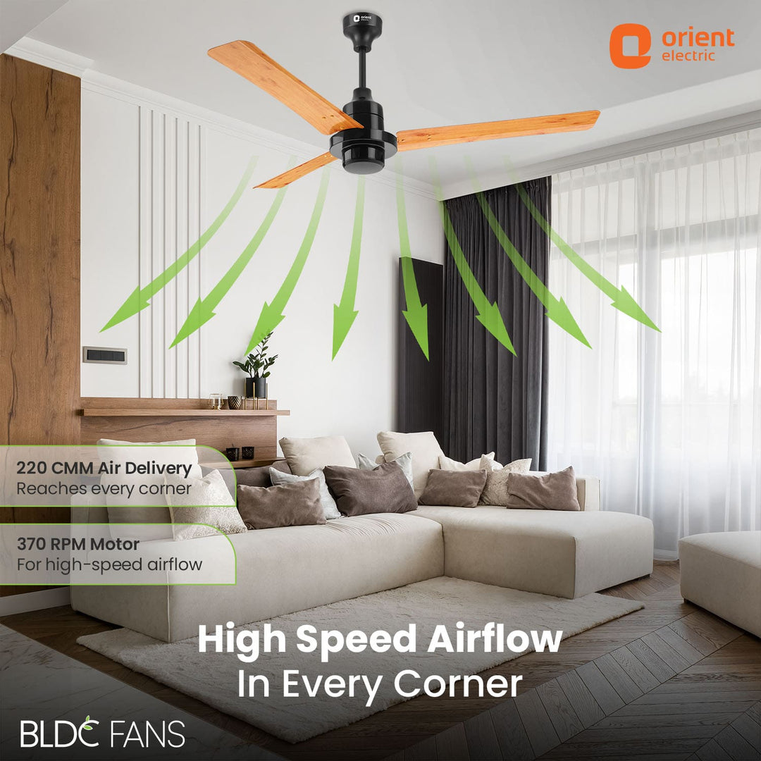 EcoTech Supreme 1200mm Energy Efficient BLDC Ceiling Fan