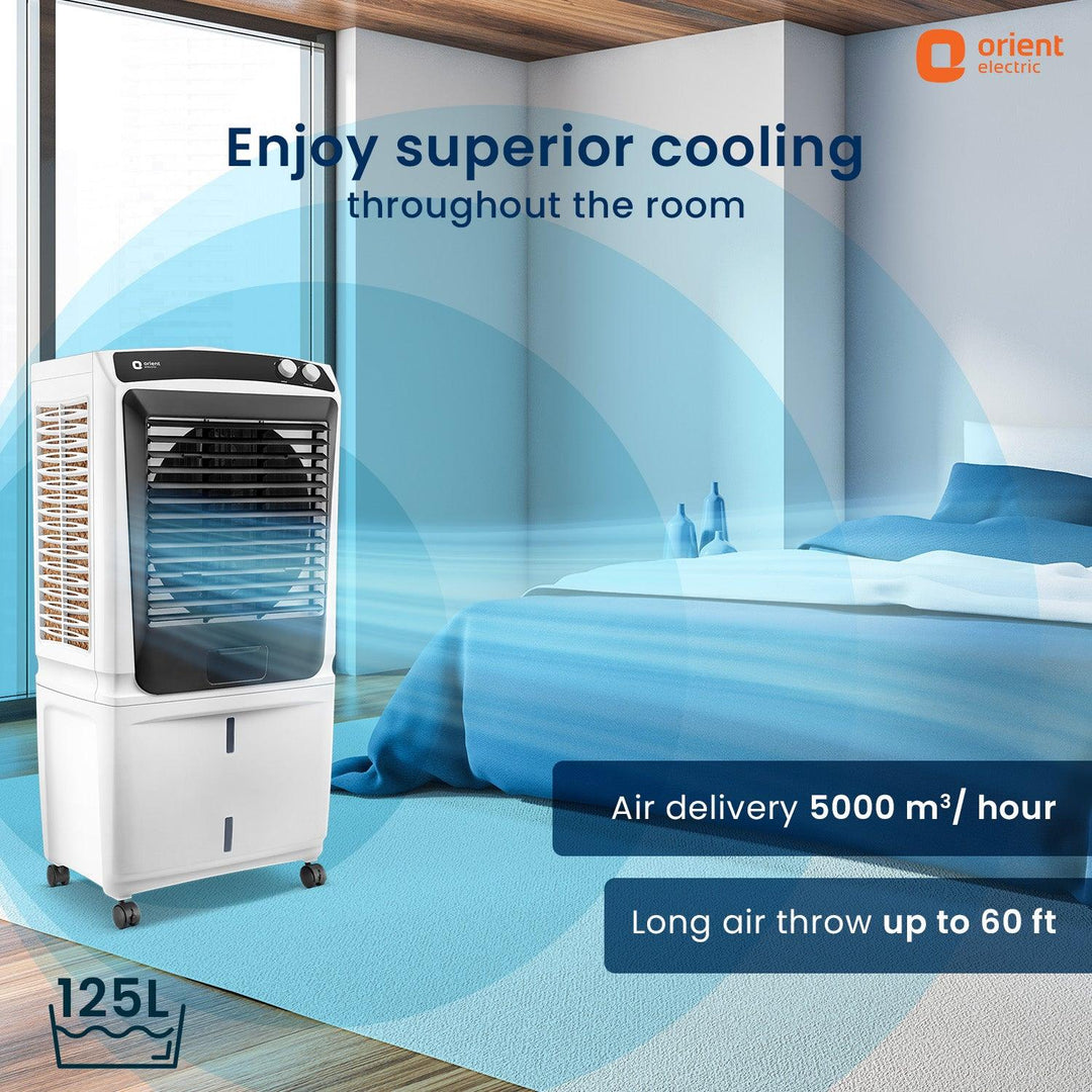 Smartchill Desert Cooler for Large Spaces