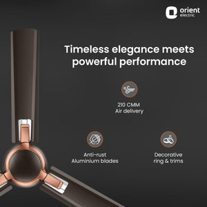 Apex Prime BEE Star Rated Ceiling Fan