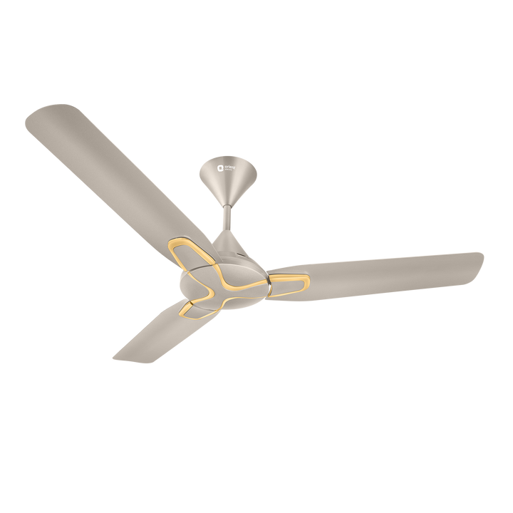 Jazz Anti Dust Decorative Ceiling Fan