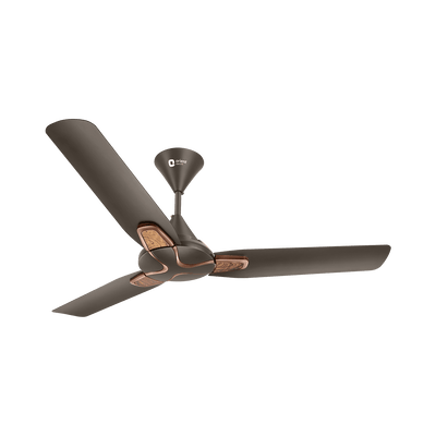 1200MM Jazz Trendz Decorative Ceiling Fan