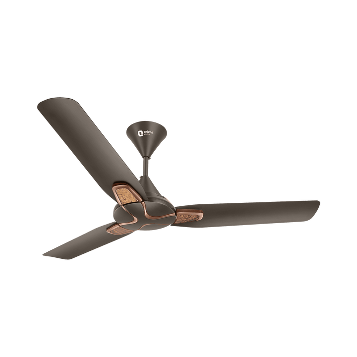 1200MM Jazz Trendz Decorative Ceiling Fan